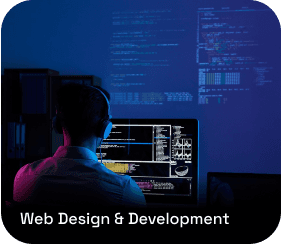 Web Development